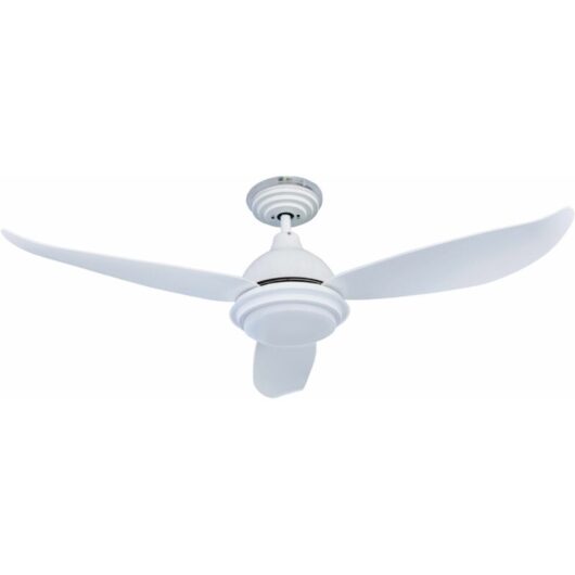 Dc Ceiling Fan Raja 122cm / 48' with led and Remote