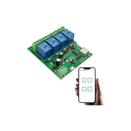 Wddnaot - channel WiFi momentary relay, diy self-locking switch module, Ewelink app control garage door switch module, compatible with Alexa Goolge