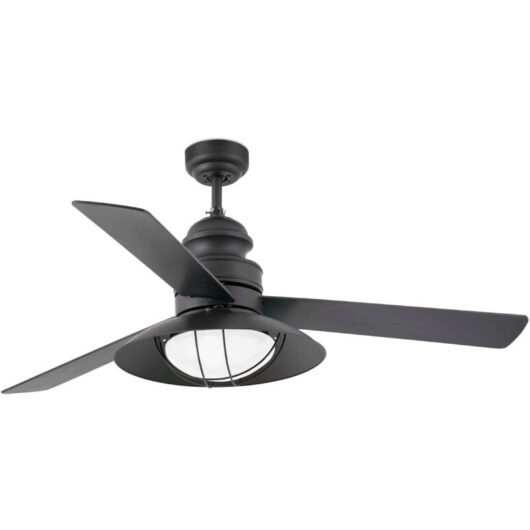 Ceiling fan Winch with light and remote