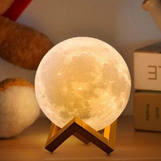 Orchidée - 3D Moon Lamp 16 Color Moon Lamp With Wooden Stand/Remote/Touch Control Gifts for Girls Women Girlfriend Boy Diameter